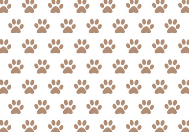 Recyclable Dog Paw Print Wrapping Paper Dog Design Eco Wrapping Paper Paw  Print Gift Wrap Eco Friendly Gift Wrap 